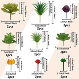 20 stuks vetplanten, kunstplanten, kleurrijke vetplanten, voor decoratie, woonkamer, kantoor, decoratie (zonder potten)