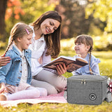 Koeltas, 5,5 liter, kleine koeltas, opvouwbaar, koeltas, picknicktas, draagbare koeltas, geschikt voor reizen, picknick, wandelen, grillen.