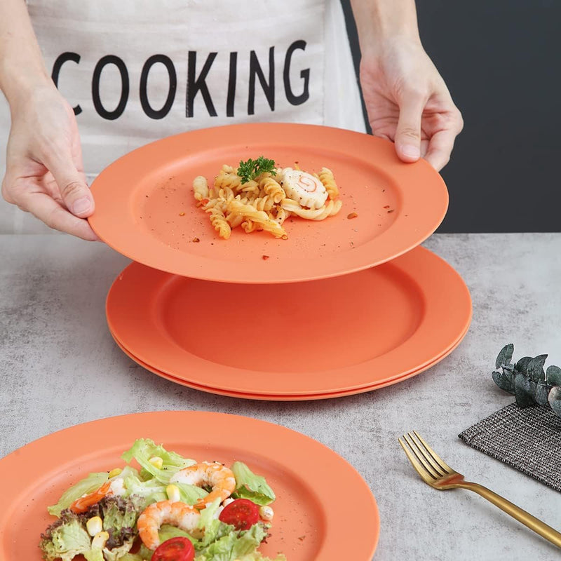 25 cm bordenset van 8, afbreekbare, gezonde, onbreekbare plastic borden, taartborden voor kinderen en volwassenen, lichte pastaborden, BPA-vrije dinerborden, magnetrons