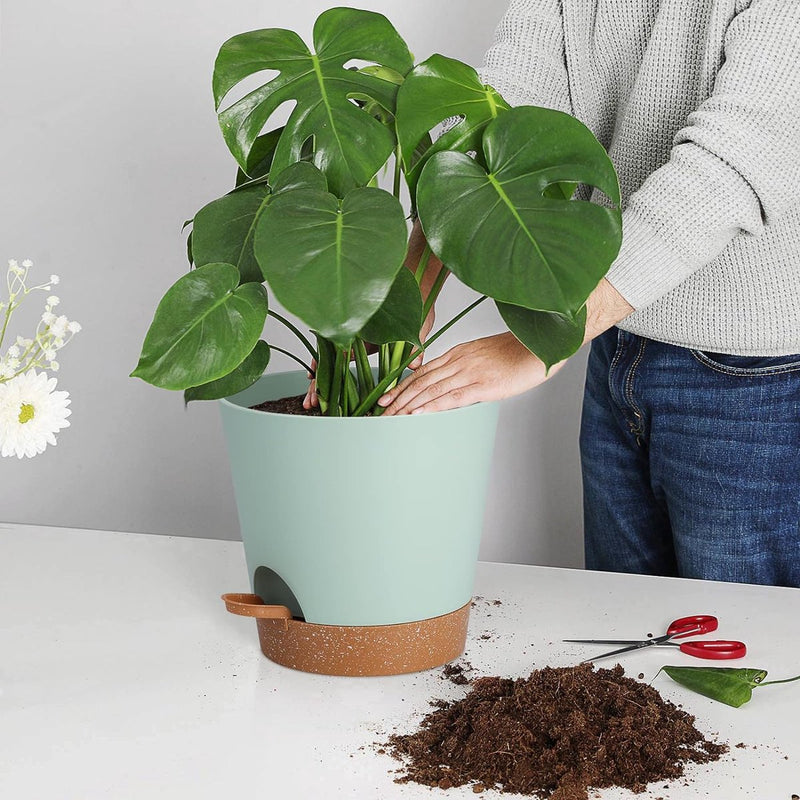 Bloempot, 20,3 cm, kunststof bloempot met irrigatiesysteem, plantenpot, set van 2, modern, voor binnen en balkon, tuin, planten, vetplanten, cactus (groen)