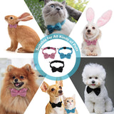 Kat vlinderdas halsband verstelbare kattenhalsband met vlinderdas en bel gepersonaliseerde huisdieraccessoires voor huisdieren katten puppy's 3 kleuren