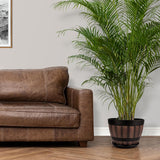 Set van 2 bloempotten van kunststof, voor binnen en buiten, diameter 22,5 cm, plantenpotset met drainagegaten en schoteltjes, plantenpot in houtlook