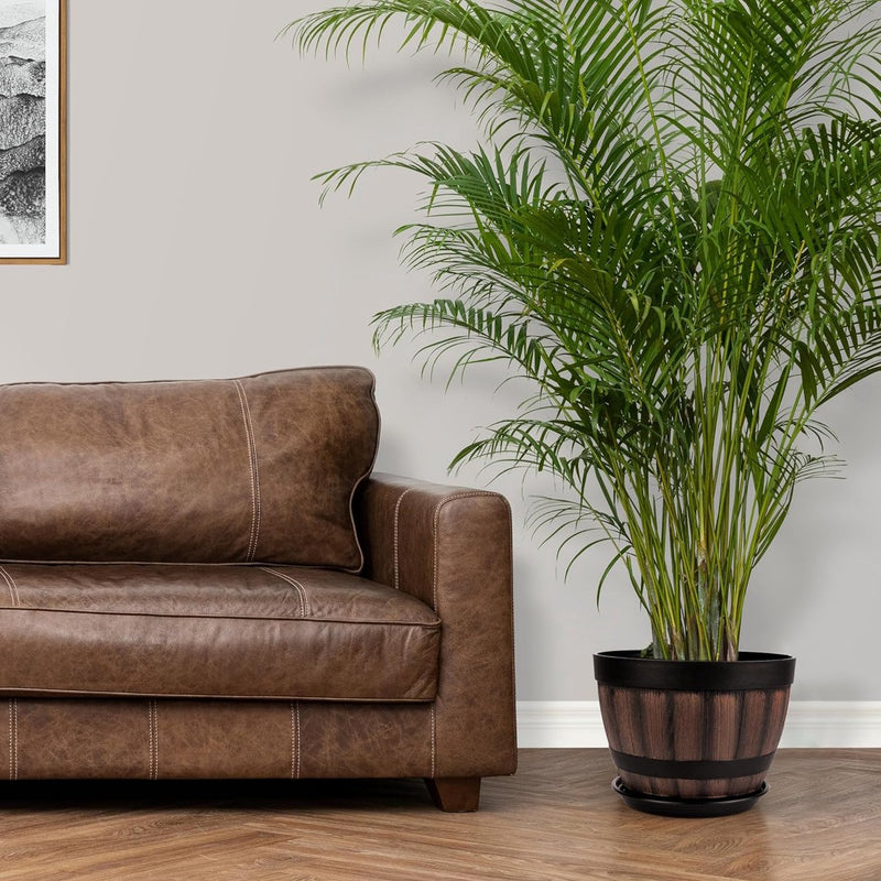 Set van 2 bloempotten van kunststof, voor binnen en buiten, diameter 22,5 cm, plantenpotset met drainagegaten en schoteltjes, plantenpot in houtlook