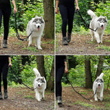 Verstelbare hondenriem met reflecterende strepen Multifunctionele lijn hoge kwaliteit trainingslijn lengte 200 cm zwart