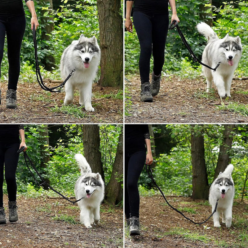 Verstelbare hondenriem met reflecterende strepen Multifunctionele lijn hoge kwaliteit trainingslijn lengte 200 cm zwart