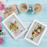6 stuks schaduwdozen van 17 x 12 cm, kleine houten lijsten, 3 cm diepe fotolijsten voor gedroogde bloemen, doe-het-zelf knutselen, memorabilia, medailles en foto's, wit