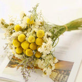 18 stuks droogbloemen, gedroogde bloemen, kunstbloemen, natuurlijke bloemen, gedroogde decoratieve bloemen, kunstbalbloemen, voor bloemstukken, bruiloft, thuis, hoge vaas