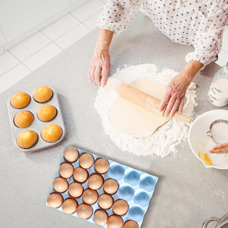 Set van 4 eierhouders voor koelkast, plastic eieropbergdoos, eiercontainer, stapelbaar, draagbare eieropbergdoos, geschikt voor keukenwerkbladen in de koelkast