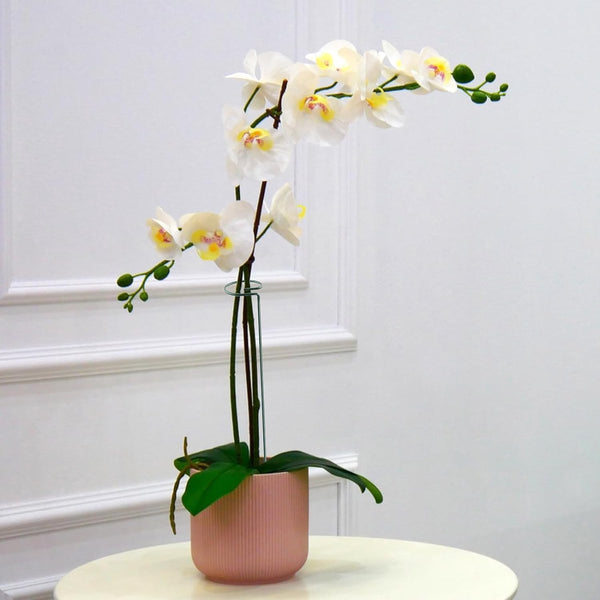 10 stuks plantenkooi steunringen planten, plantenhouders, metalen roest, plantensteunstaven voor tuin, plantensteunen met 10 plantenclips voor amaryllis orchideeën, hortensia's