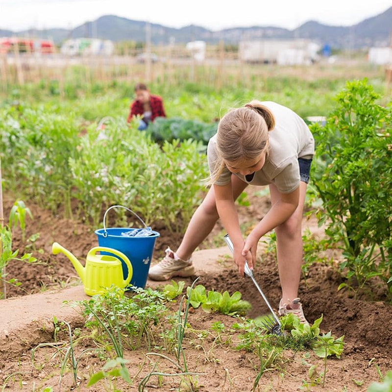 Set van 2 roestvrijstalen onkruidsnijders, paardenbloemsnijders, onkruidtrekkers, voegenschraper met handvat, onkruidverwijderingsgereedschap, onkruidtrekkergereedschap, handonkruidsnijder voor tuinieren