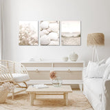 Klaar om op te hangen - wandafbeeldingen set schelpen zand - collage woonkamer N001735a, 30x40 cm - 3 foto's