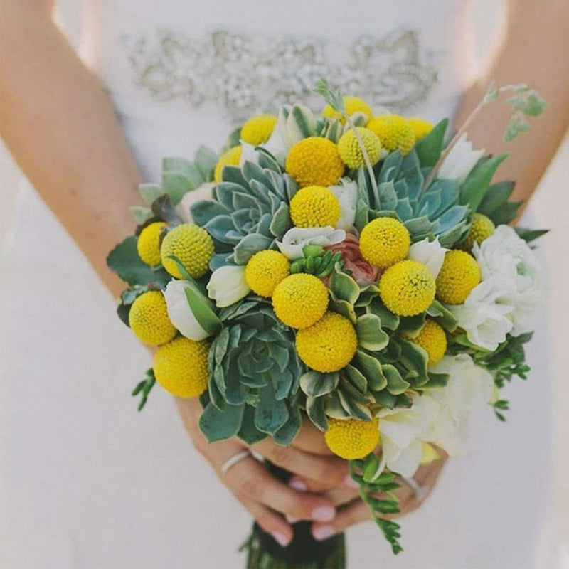 18 stuks droogbloemen, gedroogde bloemen, kunstbloemen, natuurlijke bloemen, gedroogde decoratieve bloemen, kunstbalbloemen, voor bloemstukken, bruiloft, thuis, hoge vaas