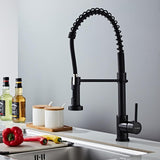 Keukenkraan met handdouche 360° draaibaar, STANEW keukenkraan met veer, 2 straalsoorten