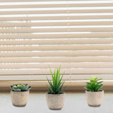 3 stuks kunstvetplanten, kunstplanten met potten, tafeldecoratie, decoratieve planten, bureauplant voor badkamer, woonkamer, kantoor (A