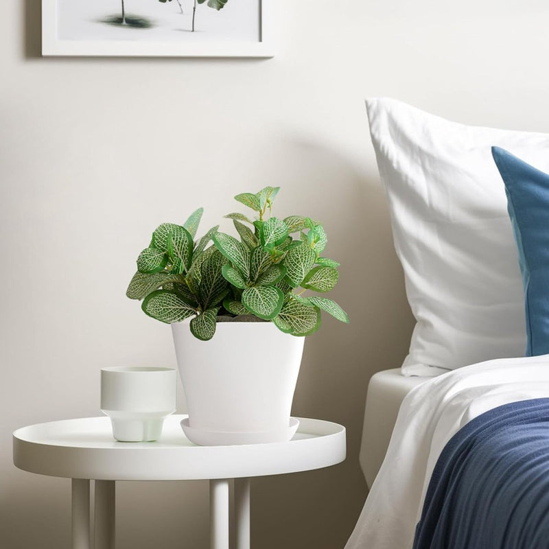 8 stuks 14 cm bloempotten met gat, kleine potten cactussen, kunststof plantenpotten, rond, bloempot met onderzetter voor kantoor en balkon, wit