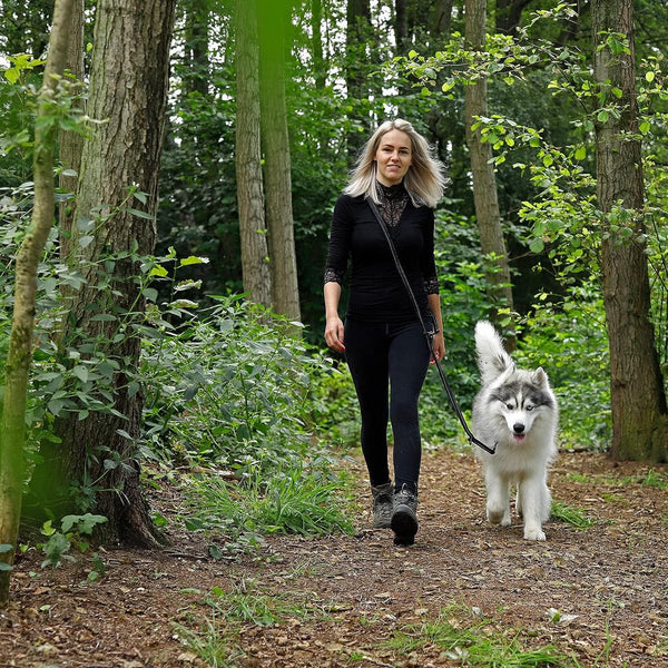 Verstelbare hondenriem met reflecterende strepen Multifunctionele lijn hoge kwaliteit trainingslijn lengte 200 cm zwart