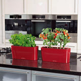 10 scarlet rood hoogglans 15469