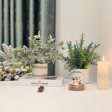 4 stuks mini-kunstplanten, klein, kunstplanten, plastic, nepplanten voor slaapkamer, badkamer, keuken, thuis, binnendecoratie