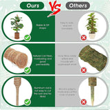 70 cm en 120 cm plantenstok kokos, buigbare kokosvezelmosstok, plantenstok voor klimplanten, natuurlijke plantensteun met accessoires, 2 stuks