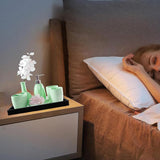 2 stuks zwarte badkamerdecoratie, dienblad zwart, badkamer dienblad, geschikt voor badkamerwerkblad, wastafel, toiletten (zwart)