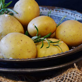 Pellaardappelspies, aardappelspies, pellaardappelvork, voorvork, kartels, bescherming, driepuntige pellaardappelen, schillen, spies, roestvrij staal, 3 tanden, maïskolf, geschikt