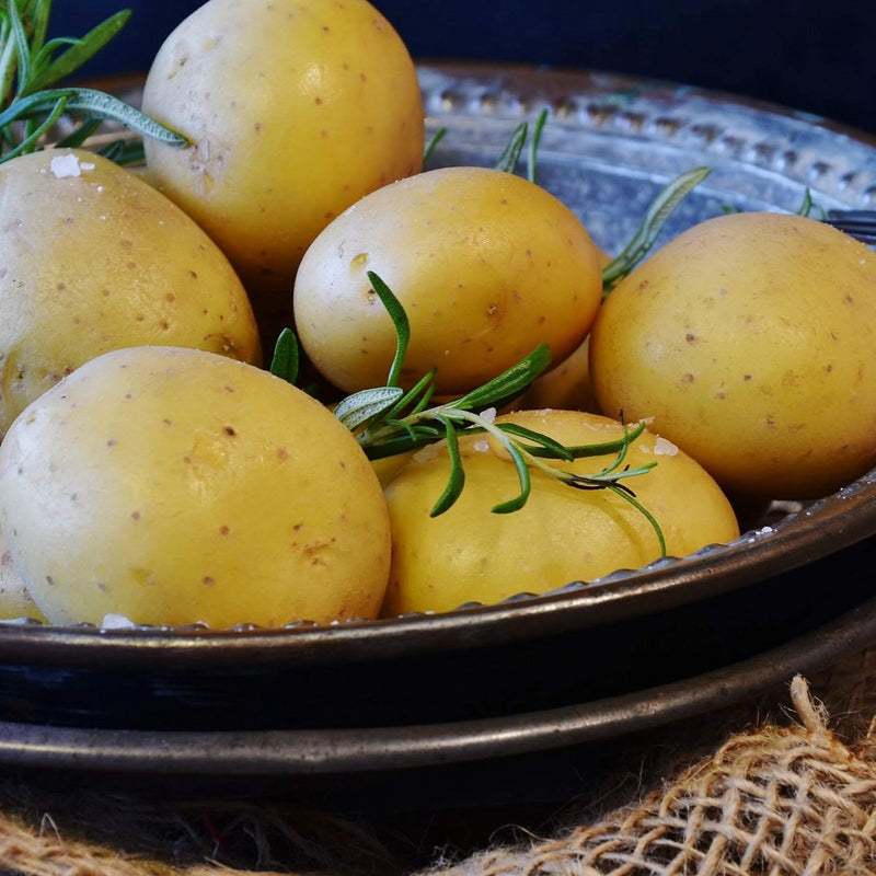 Pellaardappelspies, aardappelspies, pellaardappelvork, voorvork, kartels, bescherming, driepuntige pellaardappelen, schillen, spies, roestvrij staal, 3 tanden, maïskolf, geschikt