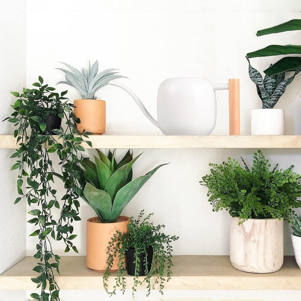 1 liter houten handvat gieter, kleinere potplanten, roestvrijstalen gieter met lange uitloop en comfortabel voor kamerplanten vetplanten (wit)