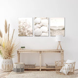 Klaar om op te hangen - wandafbeeldingen set schelpen zand - collage woonkamer N001735a, 30x40 cm - 3 foto's