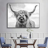 Nordic Highland koe canvas foto's, wandprint schilderij Schotse hooglanden koe prints wandschilderijen, moderne hooglandrundvlees muurkunst poster woonkamer decoratie, geen lijst (50 x 70 cm)