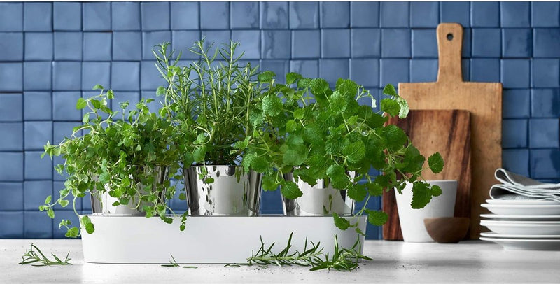 Gourmet Kruidenpot met bewateringssysteem, 3-delig, 36 x 12,5 x 12,5 cm, wit & touch keukenschaar 21 cm, huishoudschaar met zaaggeslepen, schaar keuken, Cromargan roestvrij staal, softgrip, zwart