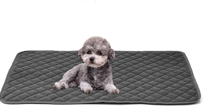 Waterdichte hondendeken, 210 x 130 cm, robuuste hondenmat als bescherming voor bank en bed, antislip hondendeken, ook geschikt voor grote honden, machinewasbaar (grijs)