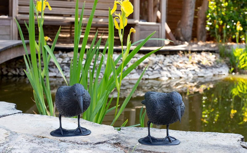 Duivenverschrikker raaf kraaien afweer van kleine vogels en duiven vogelverschrikker diervriendelijke afschrikking ca. 36 cm