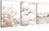 Klaar om op te hangen - wandafbeeldingen set schelpen zand - collage woonkamer N001735a, 30x40 cm - 3 foto's
