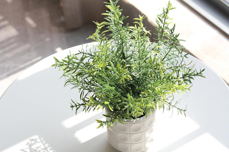 Roqueen Set van 6 kleine kunstplanten met pot, plastic mini nepplanten voor tafelplank, badkamer, kantoor, woondecoratie Roqueen Set van 6 kleine kunstplanten met pot, plastic mini nepplanten voor tafelplank, badkamer, kantoor, woondecoratie