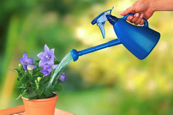 Plantenspuit en gieter - 3-in-1 functie, polypropyleen, 23 x 23,5 x 9 cm, blauw