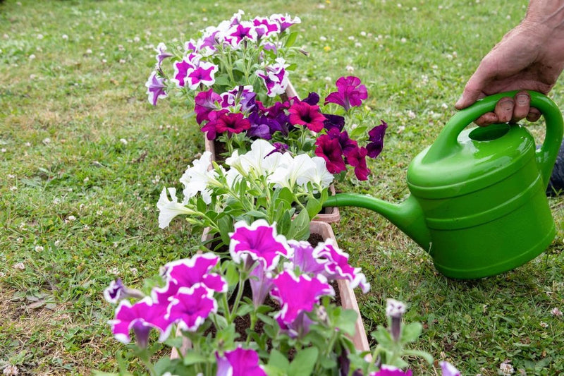 Gieter 2 L blauw + 1 x koelkastmagneet kindergieter kunststof voor kinderen groot en klein, tuin- en kamerplanten gieter gieter gieter 2 liter gieter 2 liter