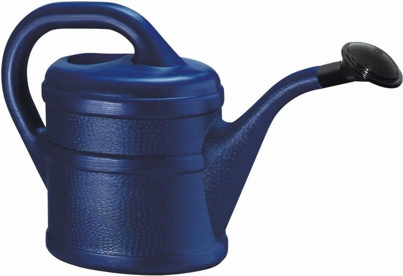 Gieter 2 L blauw + 1 x koelkastmagneet kindergieter kunststof voor kinderen groot en klein, tuin- en kamerplanten gieter gieter gieter 2 liter gieter 2 liter