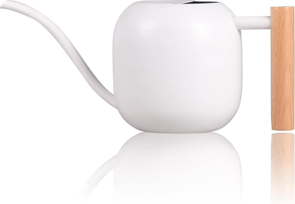 1 liter houten handvat gieter, kleinere potplanten, roestvrijstalen gieter met lange uitloop en comfortabel voor kamerplanten vetplanten (wit)