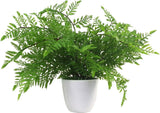 Mini Kunstvaren in Pot 30cm Kunststof Zuidelijke Houtvaren