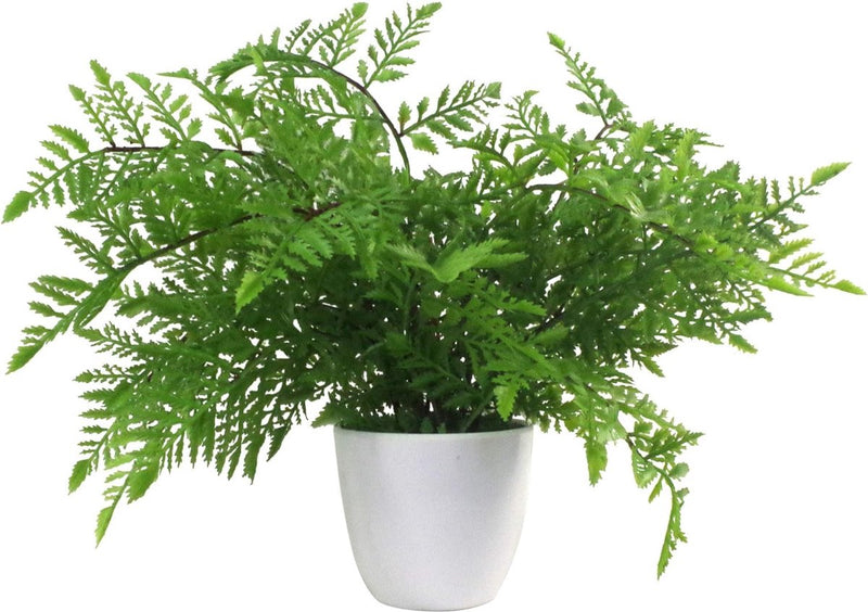 Mini Kunstvaren in Pot 30cm Kunststof Zuidelijke Houtvaren