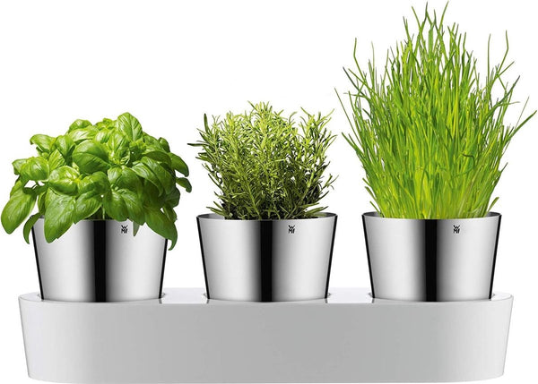 Gourmet Kruidenpot met bewateringssysteem, 3-delig, 36 x 12,5 x 12,5 cm, wit & touch keukenschaar 21 cm, huishoudschaar met zaaggeslepen, schaar keuken, Cromargan roestvrij staal, softgrip, zwart