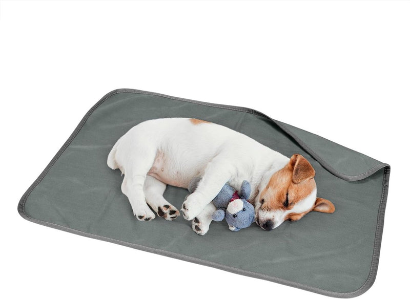 Waterdichte koeldeken voor honden, aan beide zijden bruikbare waterdichte bankovertrek, meubelbescherming, wasbaar, lekvrij, comfortabel, 75 x 50 cm, grijs