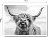 Nordic Highland koe canvas foto's, wandprint schilderij Schotse hooglanden koe prints wandschilderijen, moderne hooglandrundvlees muurkunst poster woonkamer decoratie, geen lijst (50 x 70 cm)