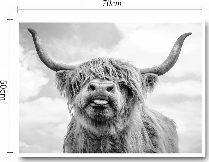 Nordic Highland koe canvas foto's, wandprint schilderij Schotse hooglanden koe prints wandschilderijen, moderne hooglandrundvlees muurkunst poster woonkamer decoratie, geen lijst (50 x 70 cm)