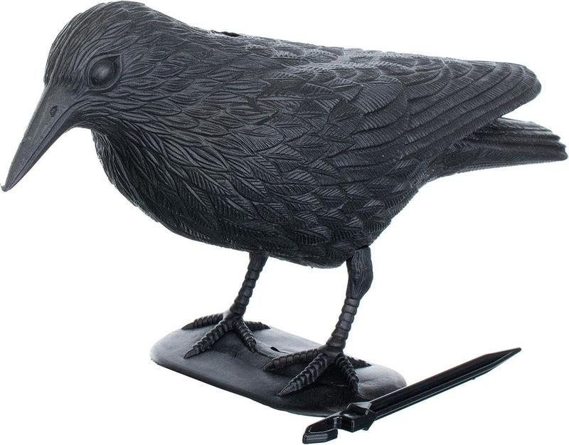 Duivenverschrikker raaf kraaien afweer van kleine vogels en duiven vogelverschrikker diervriendelijke afschrikking ca. 36 cm