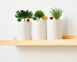 20 stuks vetplanten, kunstplanten, kleurrijke vetplanten, voor decoratie, woonkamer, kantoor, decoratie (zonder potten)