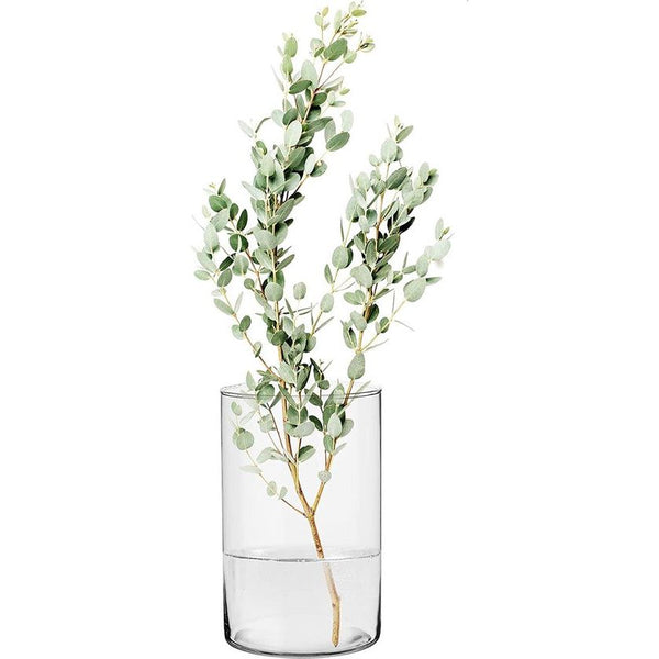 Bloemenvaas, 21.5 cm, glazen vaas, cilinder vaas, tulpenvaas, grote decoratieve vaas, glazen cilinder met bodem, kaarsglazen, glazen vazen, helder glas, rond, 13.5 cm, fleur