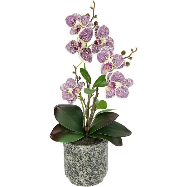 Kunstbloem vlinder orchidee met bladeren en luchtwortels in pot van keramiek, kunstorchidee, phalaenopsis met pot, kunstplant, bruiloft, decoratie, zijden bloem, echte touch bloem