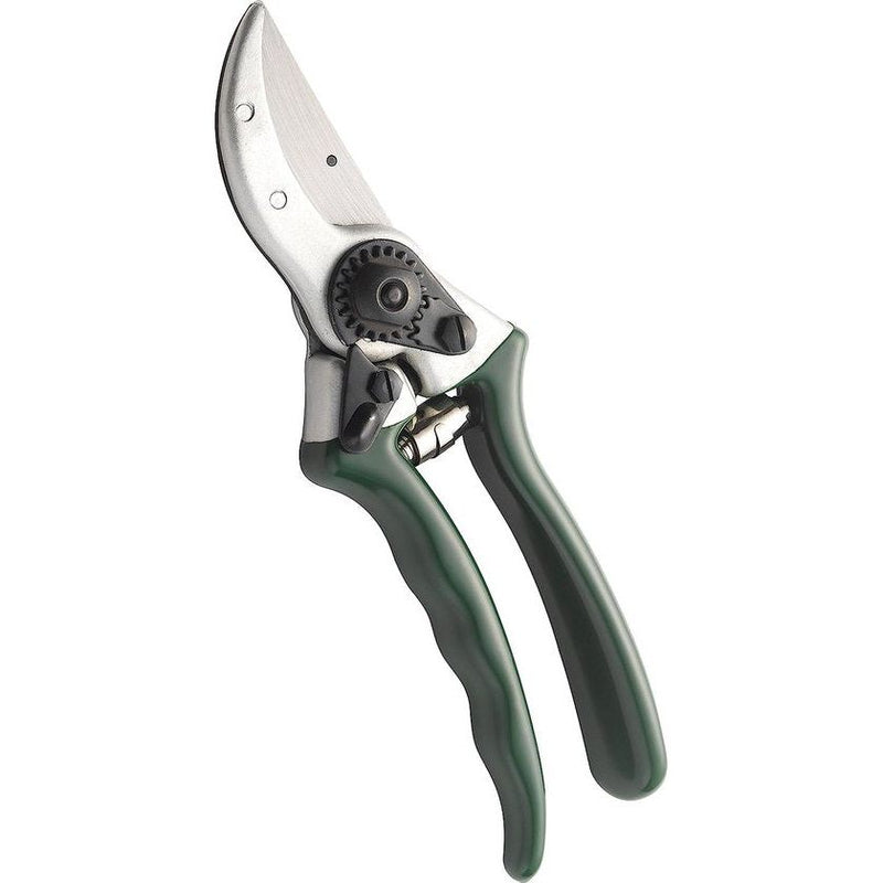 CUTTINGSET4K Kew Gardens collectie Bypass-sneeuwschoenen met holsters in een set