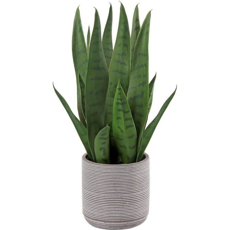 Kunstplant Sanseveria Kunstkamerplant, decoratieve plant, hoogte 40 cm, in cementpot